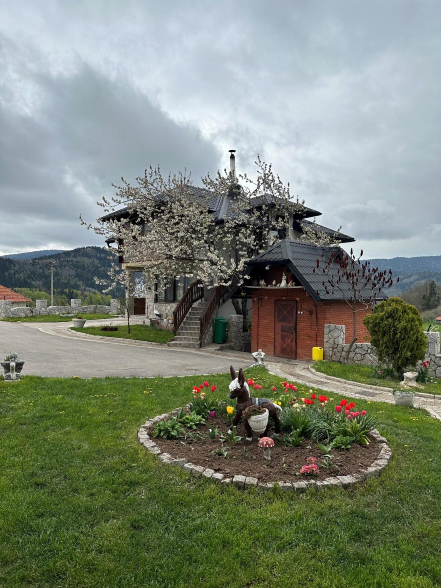 Apartment Dunja Zlatar *