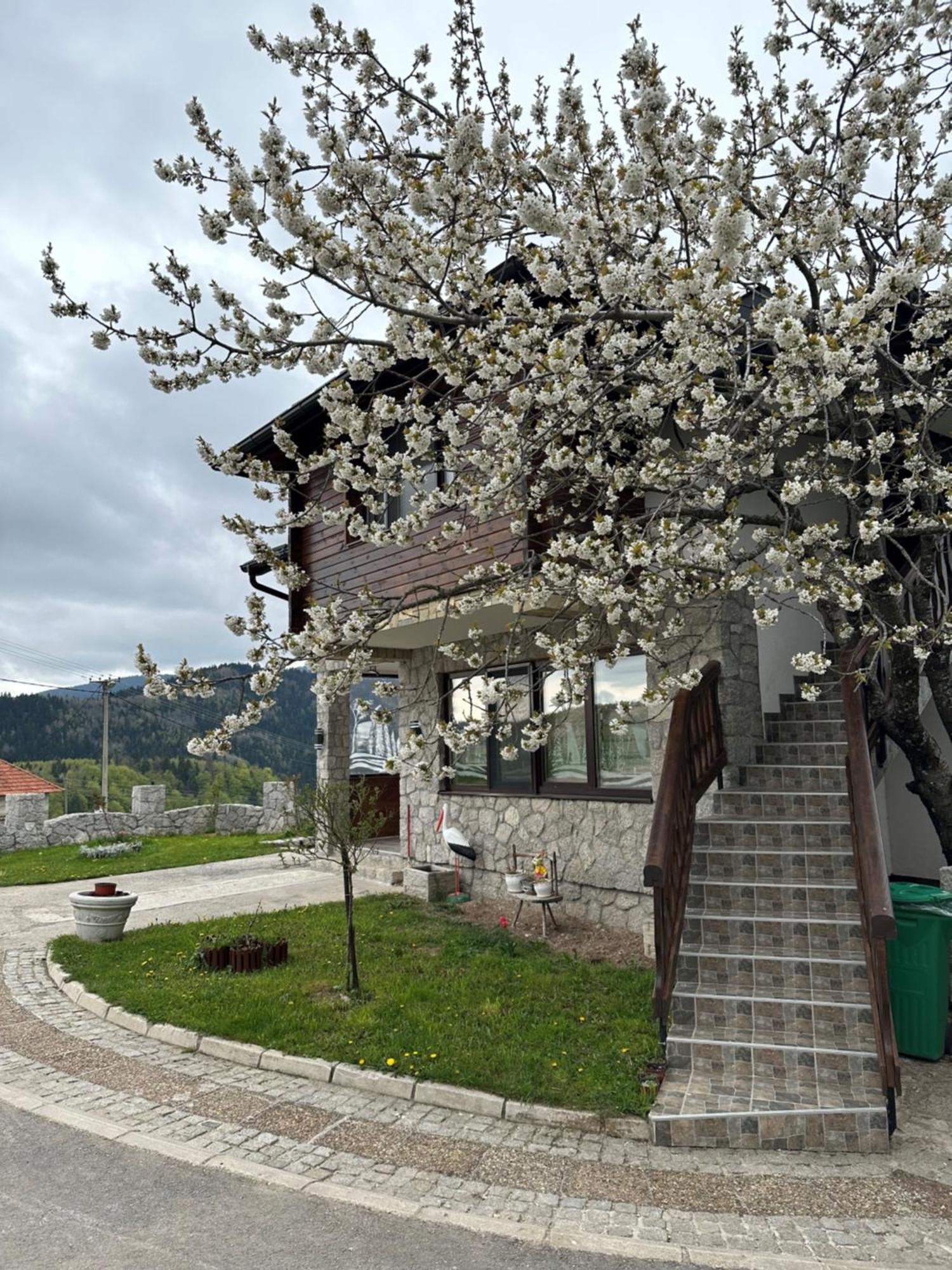 Dunja Zlatar Apartment Nova Varos